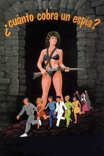 How Much Does a Spy Make? (1984) poster