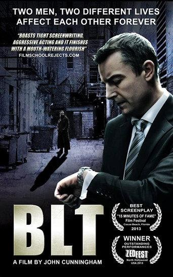 BLT (2013) poster
