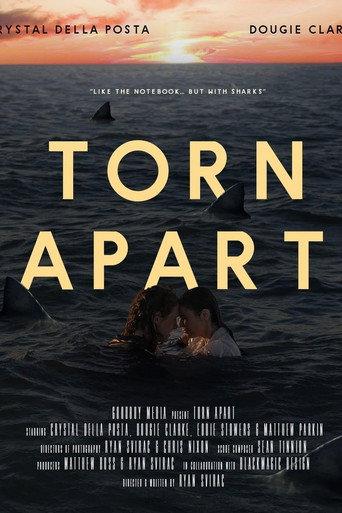 Torn Apart (2024) poster