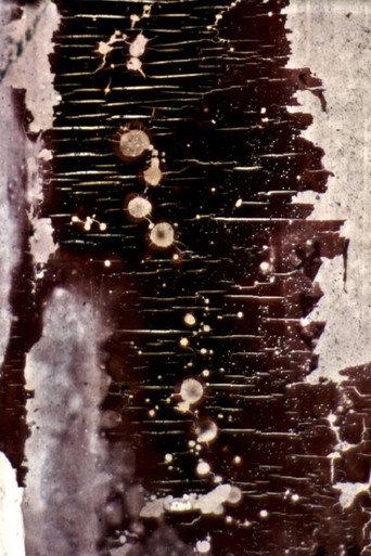 Ulm Kinole (1988) poster