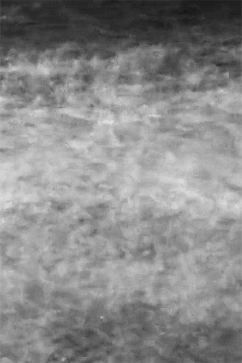Waves (1978) poster
