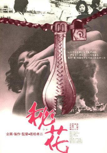 Secret Flower (1971) poster