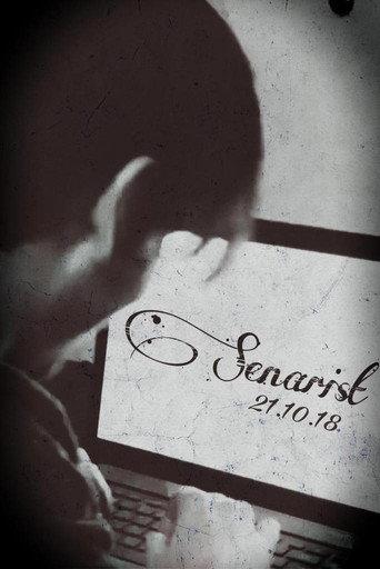 Senarist () poster