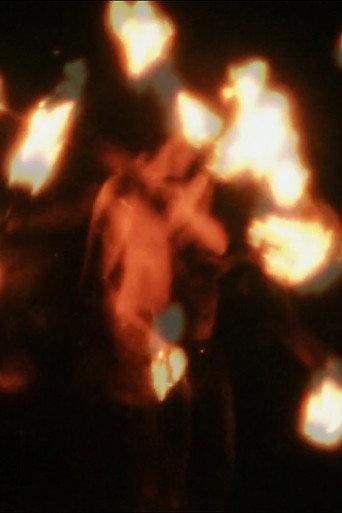 A Burning Thing (2016) poster