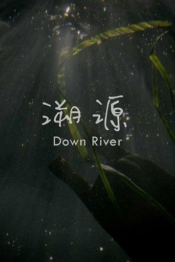Down River (2016) poster