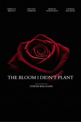 The Bloom I Didn't Plant () poster