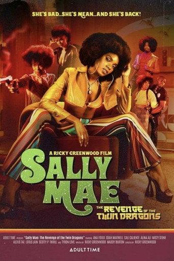 Sally Mae: The Revenge of the Twin Dragons (2022) poster