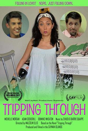 Tripping Through (2016) poster