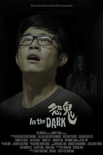 In the Dark (2014) poster