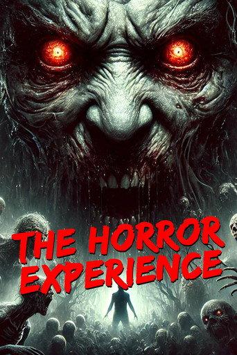 The Horror Experience () poster