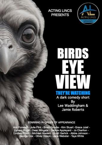 Birds Eye View (2026) poster