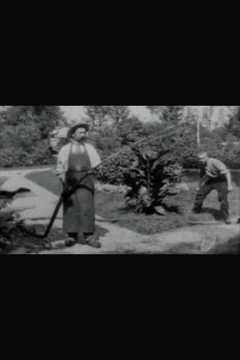The Bad Boy and the Gardener (1896) poster