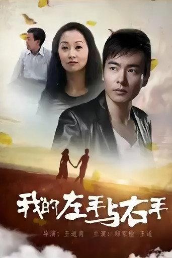 我的左手与右手 (2010) poster