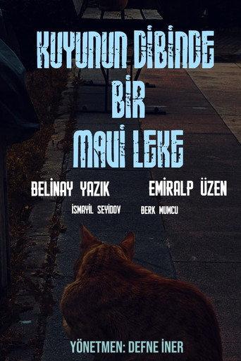Kuyunun Dibinde Bir Mavi Leke (2026) poster