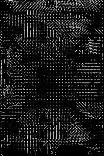 Lossless #4 (2008) poster