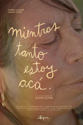 Mientras tanto estoy acá (2024) poster