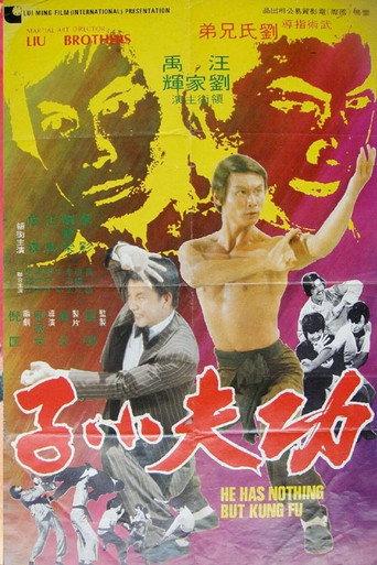 He Has Nothing But Kung Fu (1977) poster