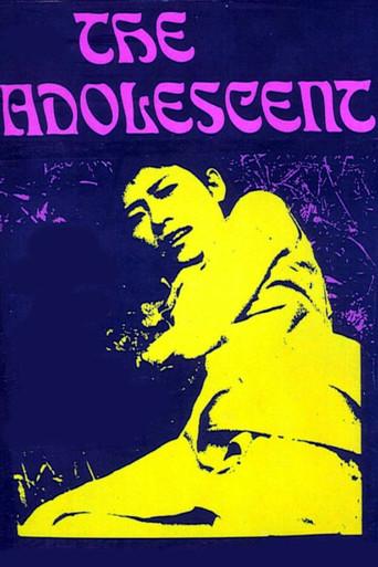 The Adolescent (1965) poster