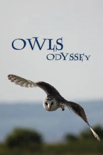 Owl's Odyssey (2013) poster