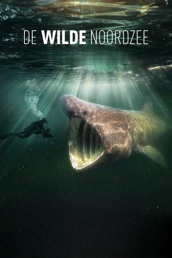 North Sea – Nature Untamed (2024) poster