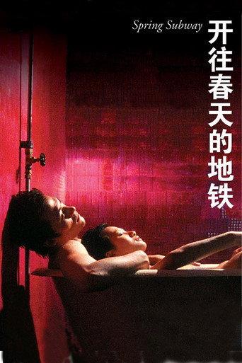 Spring Subway (2002) poster