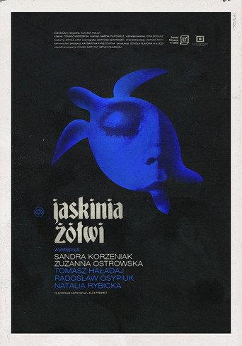 The Turtle Cave (2019) poster