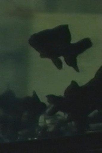 Light of Shadow (1993) poster
