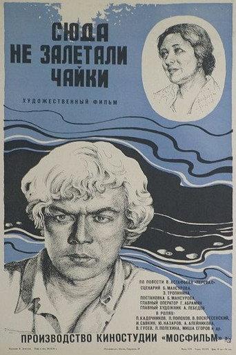 Seagulls Never Fly Here (1978) poster