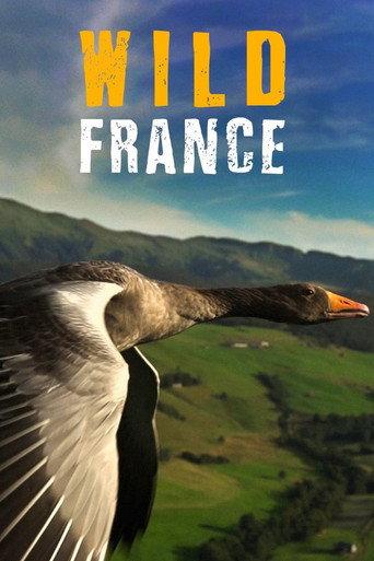 Wild France (2013) poster