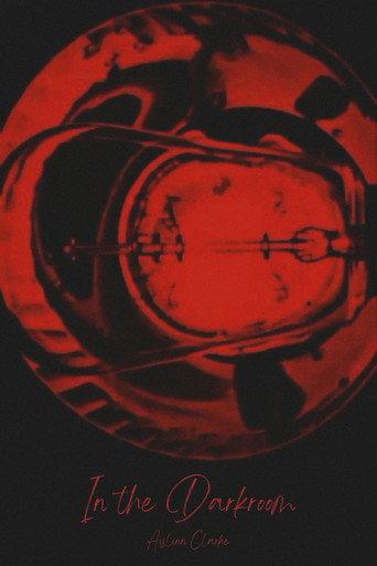 In the Darkroom (2013) poster