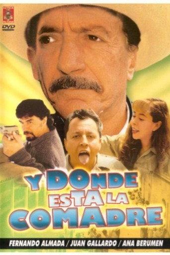 ¿Y... dónde está la comadre? (1993) poster