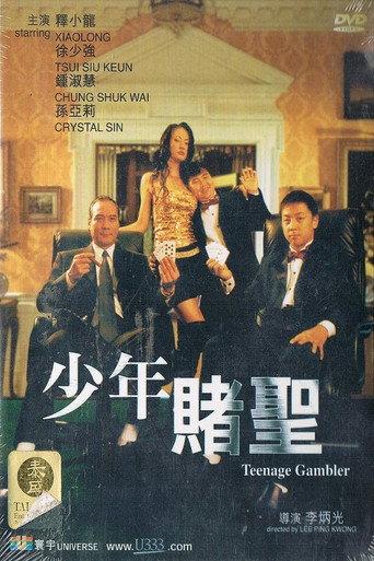 Teenage Gambler (2002) poster