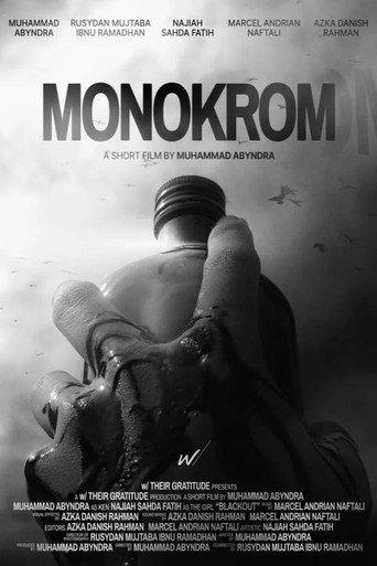 Monochrome (2022) poster