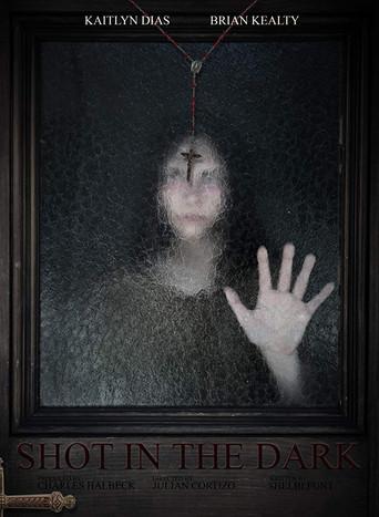 Shot in the Dark (2018) poster