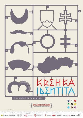 Fragile Identity (2013) poster