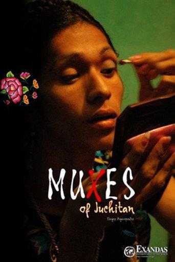 Muxes of Juchitán (2008) poster
