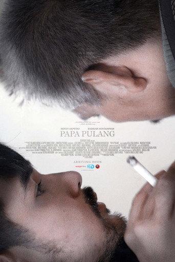 Dad's Home (2018) poster