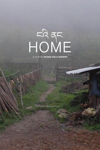 Home (2021) poster