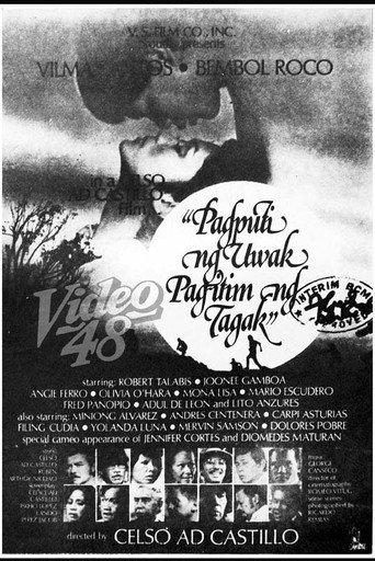 When the Crow Turns White, When the Heron Turns Black (1978) poster