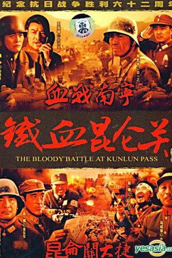 血战南宁 (1994) poster
