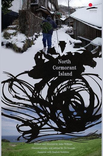North Cormorant Island (2024) poster