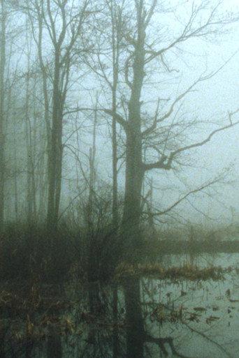 Early Spring Wetlands (2023) poster