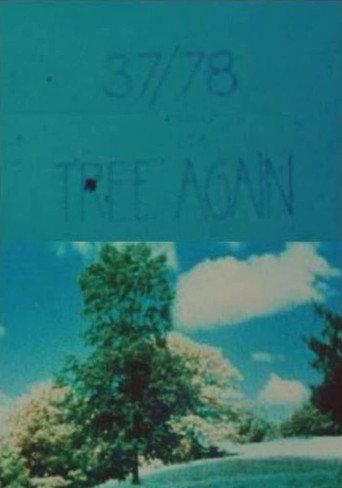 37/78: Tree Again (1978) poster