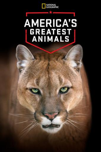 America's Greatest Animals (2012) poster