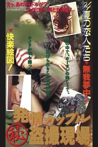 Horny Couple: Secret Voyeurism (1994) poster