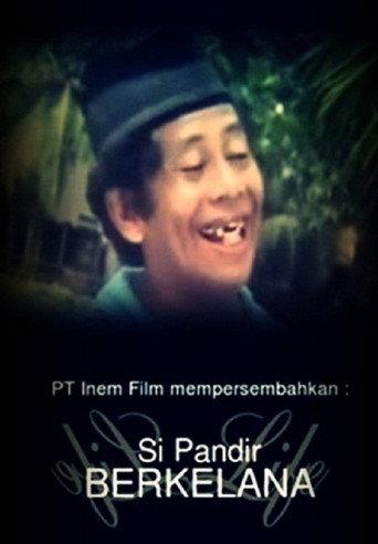 Si Pandir Berkelana (1993) poster