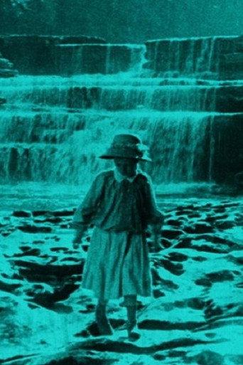 The West Riding of Yorkshire (1911) poster