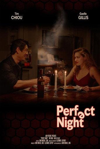 Perfect Night () poster