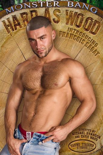 Hard as Wood (2005) poster