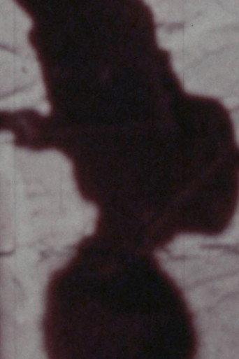 Señales de vida (1979) poster